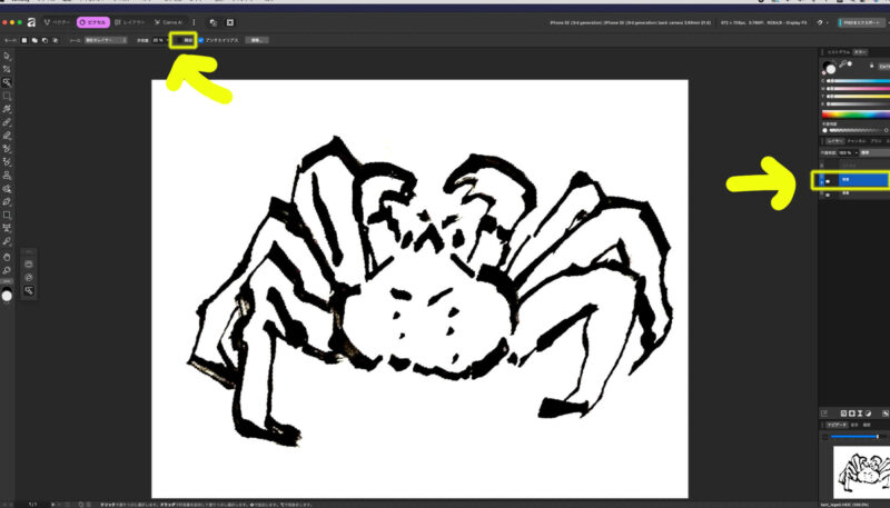 Affinityの自動選択ツールで隣接の意味について