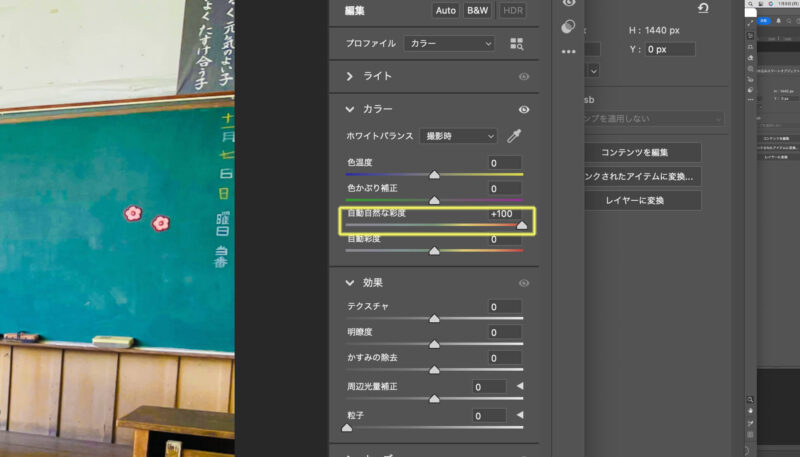 Adobe Photoshop（フォトショップ）の「Camera Raw フィルター」で自然な彩度を調整
