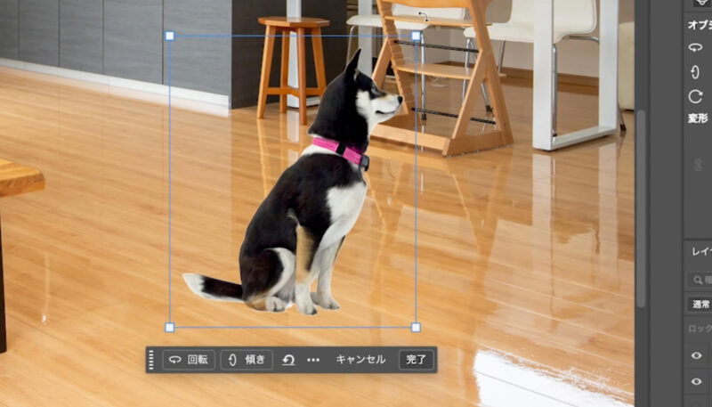 フォトショップの「オブジェクトの回転」で犬を回転する