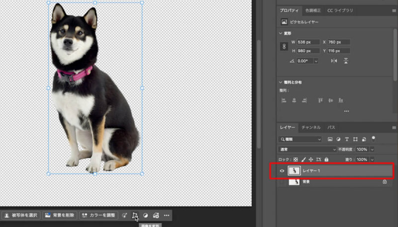 フォトショップで新規レイヤーでコピーペーストする