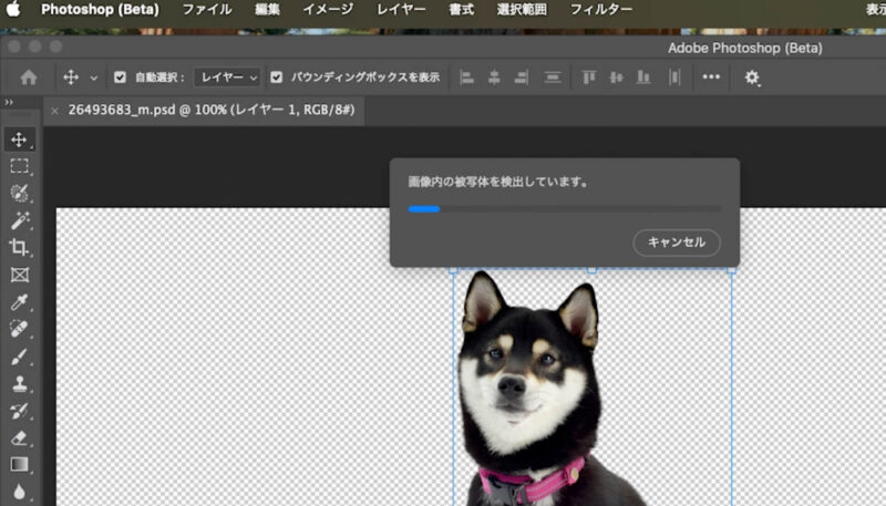 Adobe Photoshop(フォトショップ)Beta版に追加された新機能「オブジェクトの回転」がすごい
